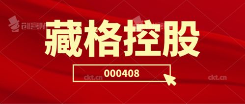 藏格控股二審維持原判 投資者索賠持續(xù)推進，日用品貿(mào)易銷售業(yè)務(wù)前景引關(guān)注
