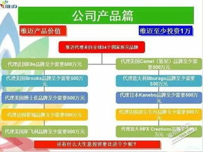 深耕日用品貿(mào)易 零售與批發(fā)進(jìn)口的戰(zhàn)略布局與市場(chǎng)機(jī)遇