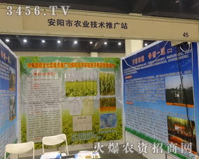 安陽市農業技術推廣站積極參與2014中部農資會，助力現代農業技術普及